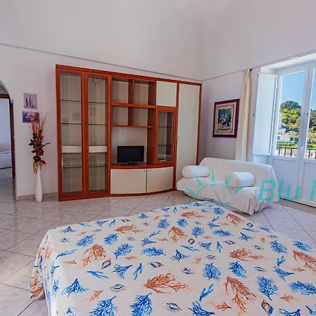 Bluponza Mediterraneo *